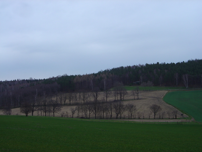 DSC07837